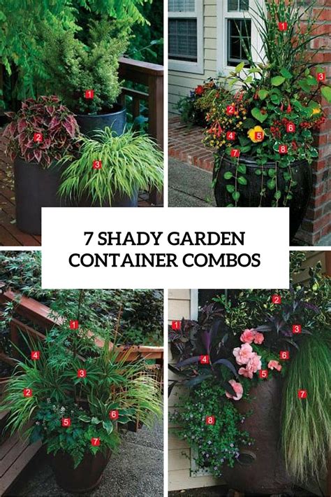 7 Stylish Shady Garden Container Combos Garden Ideas And Outdoor Decor