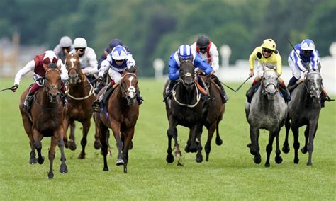 60+ live tv channels, 400+ titles, 5000+ episodes, biggest events of the country psl! Timeform's Tote Placepot: Champions Day at Ascot