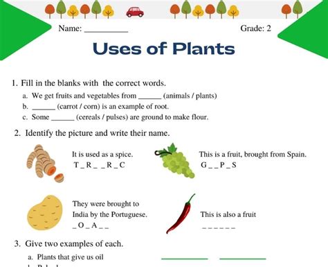 Interactive Uses Of Plants Class 2 Worksheets For Hands On Learning