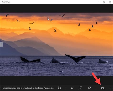 Set Your Windows 10 Lock Screen And Wallpaper To Bing Daily Images