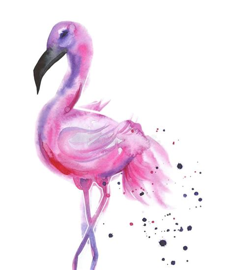 Pink Flamingo Tropical Bird Watercolour Illustration Isolated On