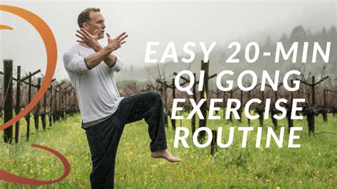 20 Min Qi Gong Exercise Routine Easy Home Workout With Lee Holden