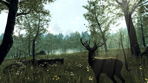 Nature Treks Vr Est En Promotion Sur Oculus Quest Vr Gamerzfr