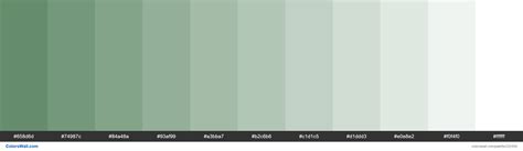 Slate Green Colors Palette Colorswall