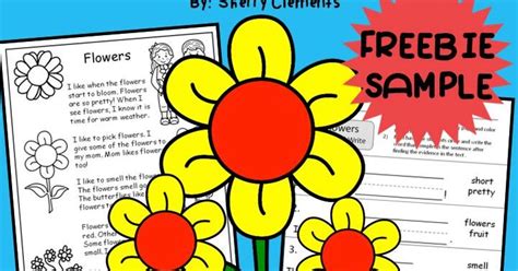 Dr Clements Kindergarten Freebie Flowers Reading Comprehension