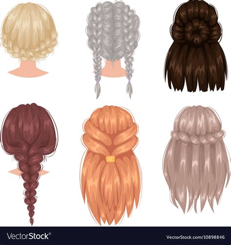 Woman Hairstyle Back View Royalty Free Vector Image