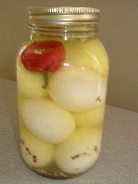 How To Make Pickled Eggs Easy Recipe To Store In Fridge Recipe