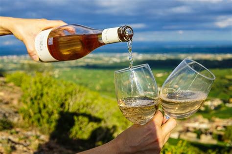 The 10 Best Portuguese Wines Liquorista