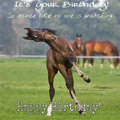 Pin By Michelle Dudley On Happy Birthday Horses Horse Meme Happy