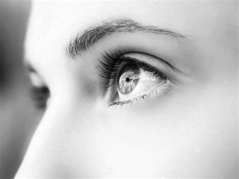 Eye Profile Side View Yahoo Image Search Results Eye Drawing Female Eyes Human Eye Drawing