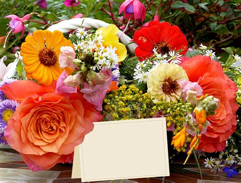 Bouquets De Fleurs Photos Images Gratuites Fleur Pétale Cadeau
