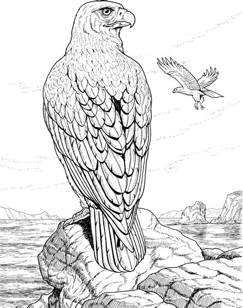 Very Hard Coloring Pages For Adults ~ Coloring Eagle Eagles Animals