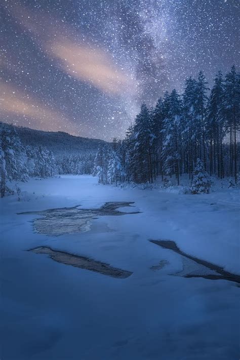 View Winter Forest Night Stars Landscape Photography Winter