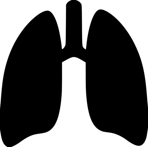 Lungs Clipart Svg Picture 1581506 Lungs Clipart Svg