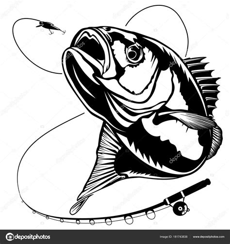 New Bass Fishing With Rod Stock Vector By ©lioriki 181743838