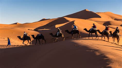 Pin by Jordan Desert Road on Desert road | Desert tour, Desert travel, Marrakech