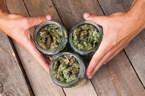 It depends on many factors, such as age, weight, metabolism, amount and potency of marijuana, and the effect of thc detox products. How Long Does Marijuana Stay in Your Saliva? | Leafbuyer
