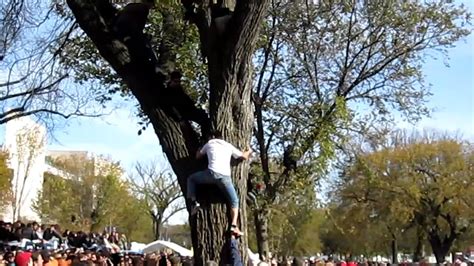 Rally To Restore Sanity People Climbing Trees Youtube