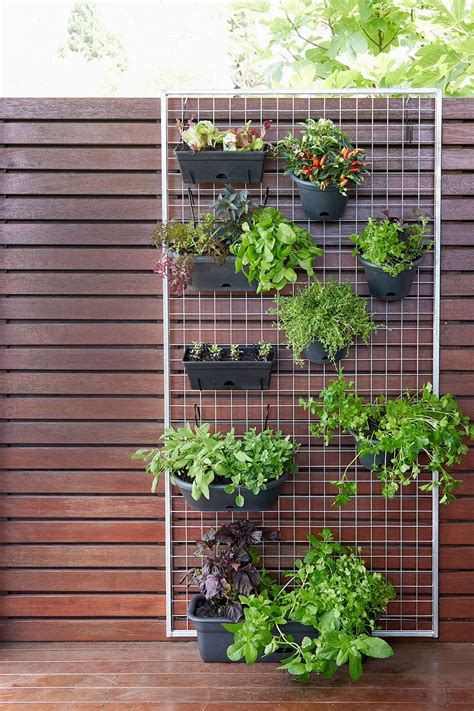 How To Grow A Vertical Herb Garden Better Homes And Gardens