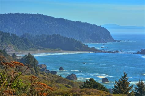 the-redwoods-in-northern-california-are-the-best-place-to-visit-in-2018