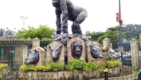 We did not find results for: Paling Baru Tempat Wisata Kebun Binatang Ragunan - Cakrawala