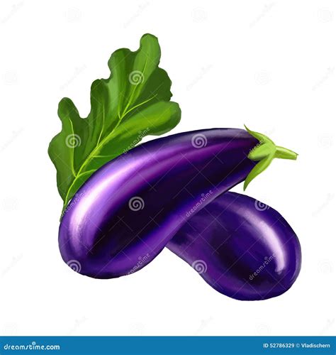 Eggplant Vector Illustration Hand Drawn Painted Stock Vector