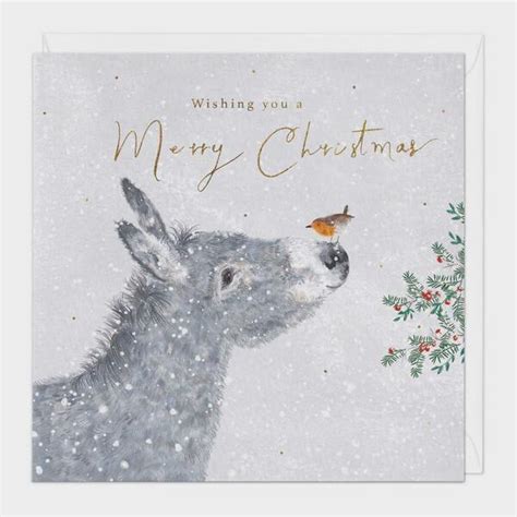 Snow Donkey Robin Christmas Card