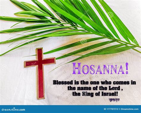 Hosanna In The Highestpraise Be To God Stock Photo Image Of Israel