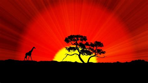 African Sunset Wallpapers - Top Free African Sunset Backgrounds ...