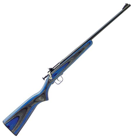 Crickett Blue Laminate Stock Blued Compact Rifle 22 Long Rifle