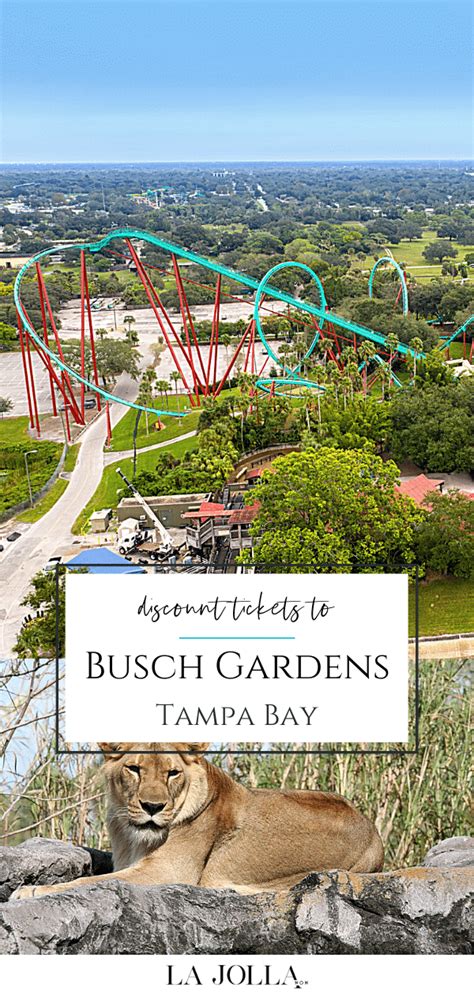 Buy busch gardens tickets at ticketmaster.com. How to Buy Discount Busch Gardens Tampa Tickets - Top 8 ...