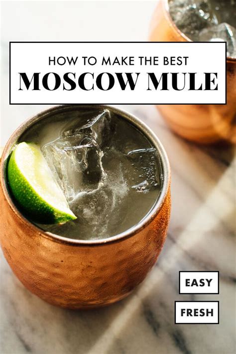 classic moscow mule recipe mule recipe moscow mule recipe mule cocktail