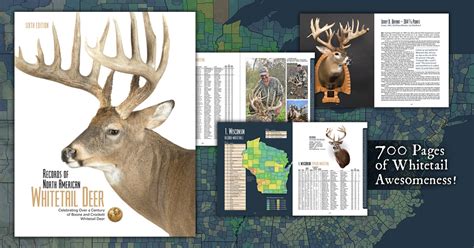 Records Of North American Whitetail Deer Sixth Edition Boone And