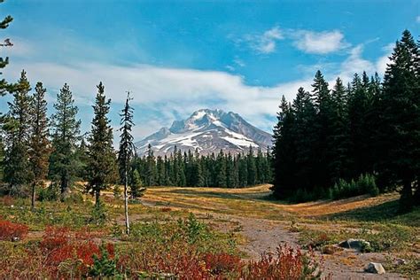 Summer At Mt Hood In Oregon By Athena Mckinzie Photography Of This