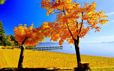 Autumn Sea Wallpapers High Quality Download Free
