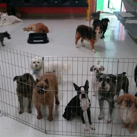 Gupton's Pets and Supplies, Inc. | Wichita KS
