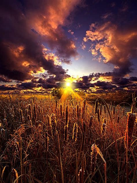 Sun Gazing Horizons By Phil Koch Lives In Milwaukee Wisconsin Usa