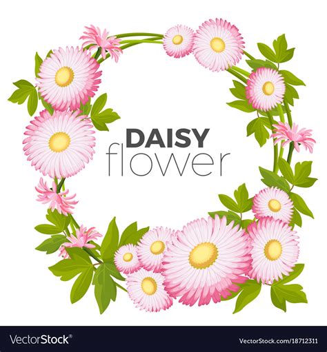 Daisy Flowers Frame With Pink Blossoms And Green Vector Image