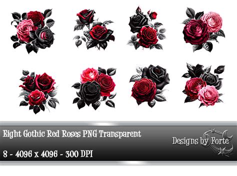 Eight Gothic Roses Transparent Png By Designs By Forte Thehungryjpeg