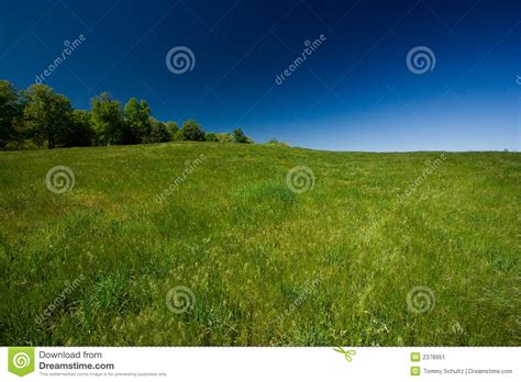 Green Field And Blue Sky Stock Image Image 2378951