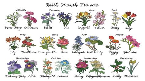 What Is My Birth Flower Birth Month Flowers The Old 53 Off