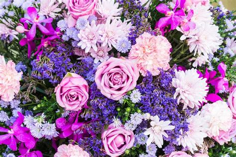 La bellezza incredibile dei fiori, accompagnati da frasi e/o aforismi a essi dedicati.ʘ͜͡ʘuna delle cose più affascinanti nei fiori è il loro meraviglioso. Immagini: sfondi belli colorati | Sfondi di fiori colorati ...