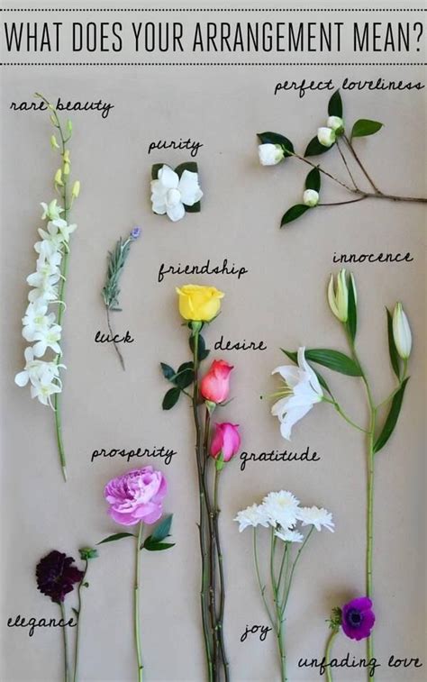 The moment that you hear them, you wonder about their meanings. what does your flower arrangement mean? | Flower meanings ...