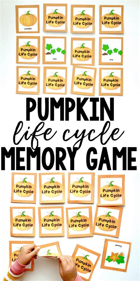 Pumpkin Life Cycle Printable Memory Game I Can Teach My Child