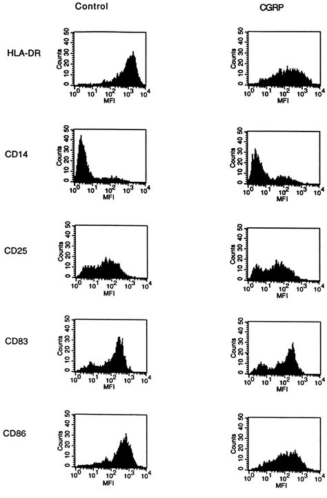 Calcitonin Gene Related Peptide Decreases Expression Of Hla Dr And Cd86