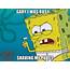 The 50 Best Spongebob Memes  Funniest Part 3