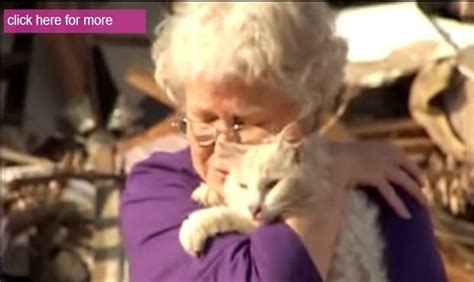 Tornado Victim Finds Her Long Lost Cat During Interview One Month