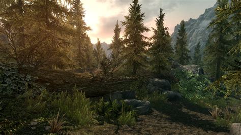 I saw on some mods that the mod was set up for skyrim update 1.9.32.0.8? The Elder Scrolls Skyrim Special Edition Xbox 360 Torrent ...