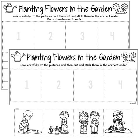 Sequencing Worksheets Planting Flowers In The Garden Top Teacher
