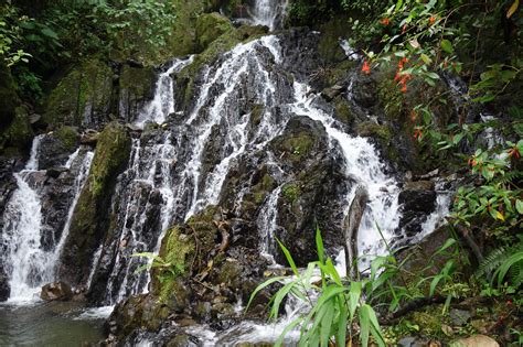 A dense evergreen forest with a minimum annual. Rainforest - Colombia Infinita